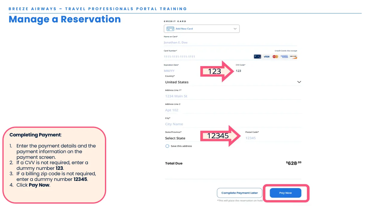 Input payment details and click Pay Now